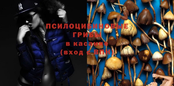 гидропоника Арсеньев